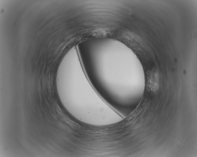 X0000067890616200604131015