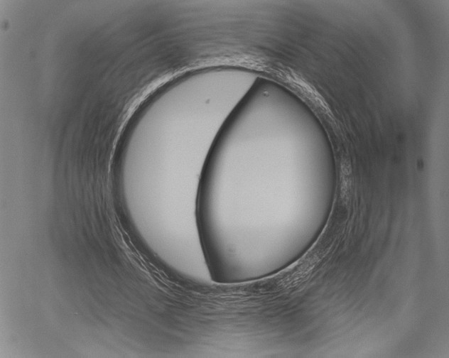 X0000067890628200604131014