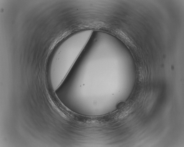 X0000067890634200604131014