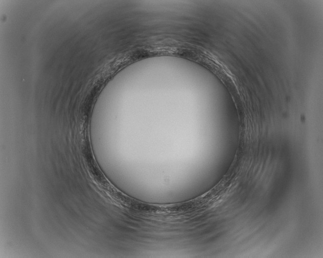 X0000067890641200604131014