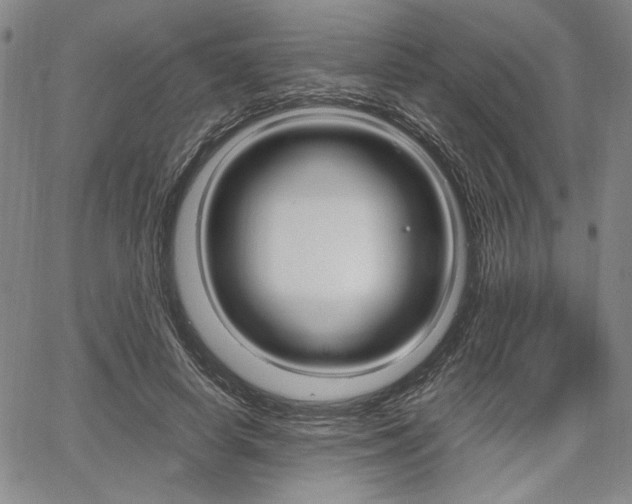 X0000067890642200604131014