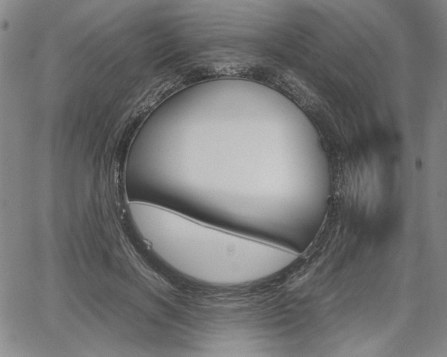 X0000067890646200604131014