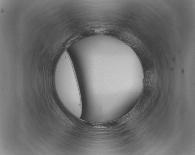 X0000067890650200604131014