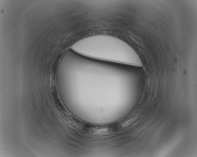 X0000067890651200604131015
