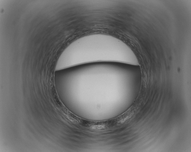 X0000067890653200604131015