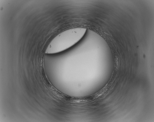 X0000067890657200604131015