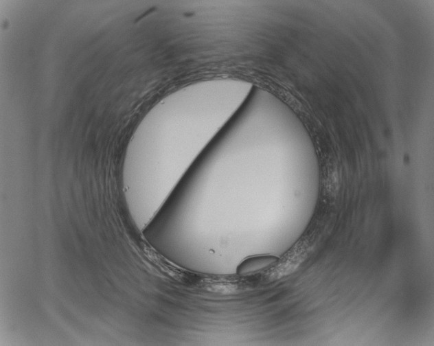 X0000067890658200604131015