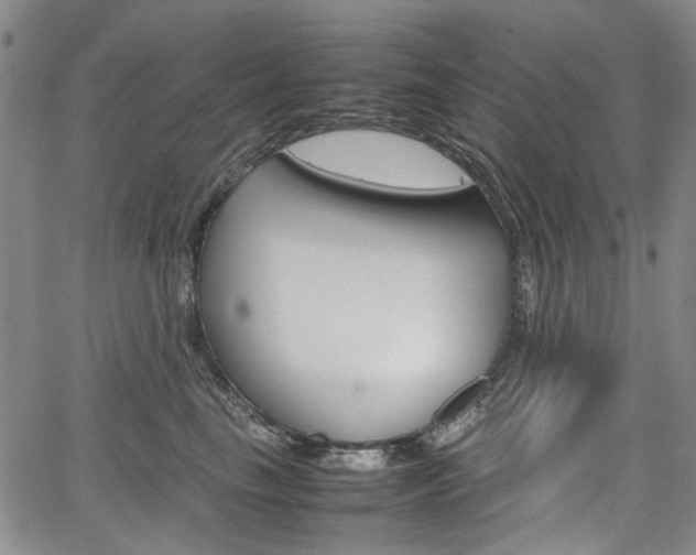 X0000067890665200604131015