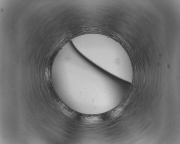 X0000067890669200604131015