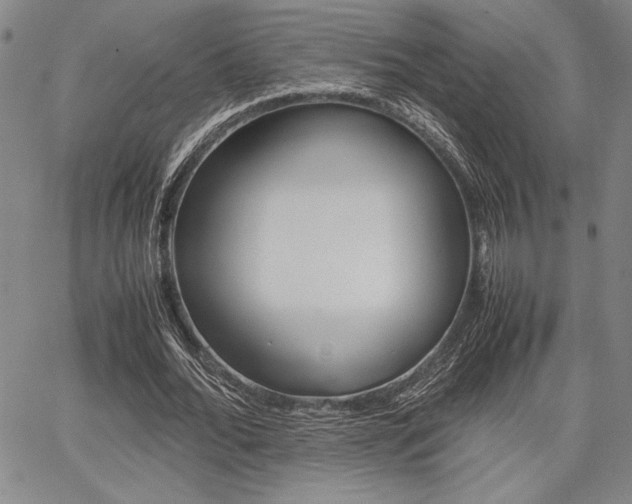 X0000067890676200604131014