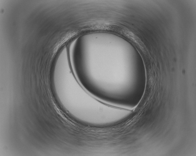 X0000067890677200604131014