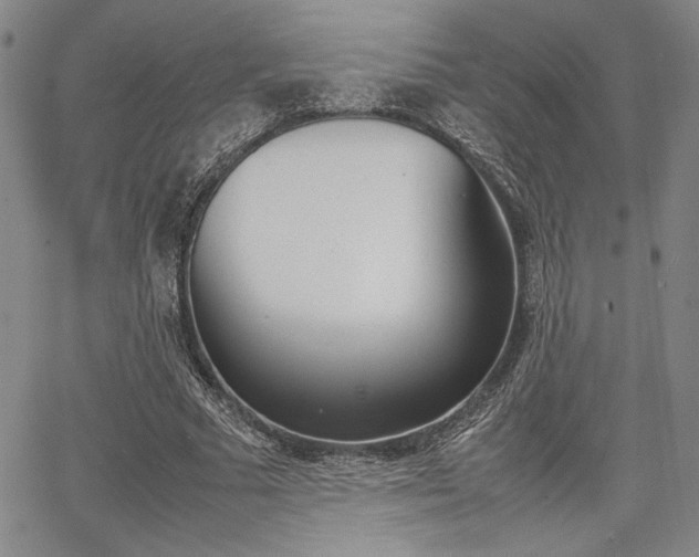 X0000067890681200604131014