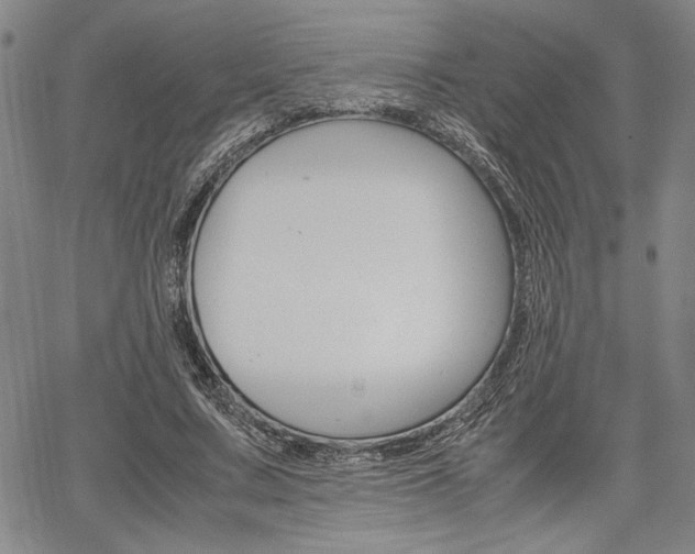 X0000067890683200604131014