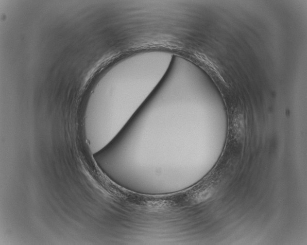 X0000067890686200604131014