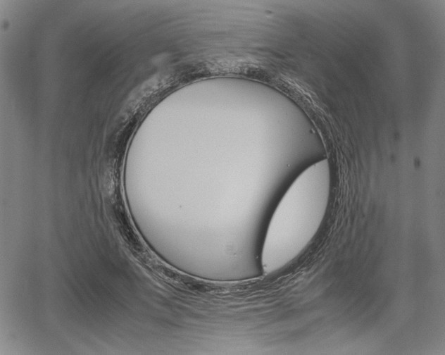 X0000067890687200604131014