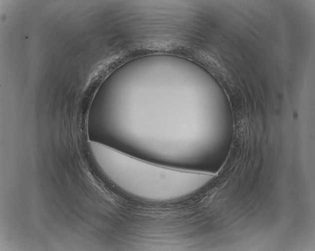 X0000067890688200604131014
