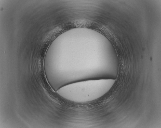 X0000067890690200604131014