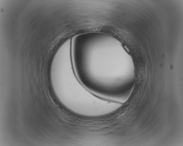 X0000067890693200604131014