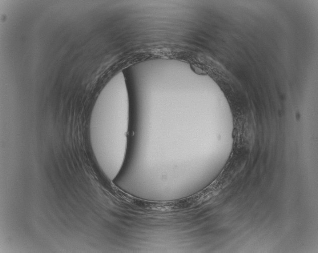 X0000067890702200604131014