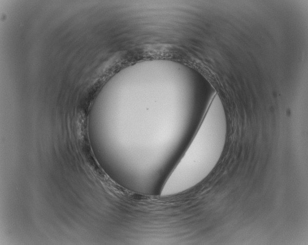 X0000067890712200604131013