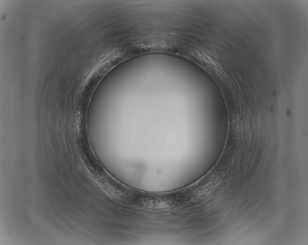 X0000067890735200604131013