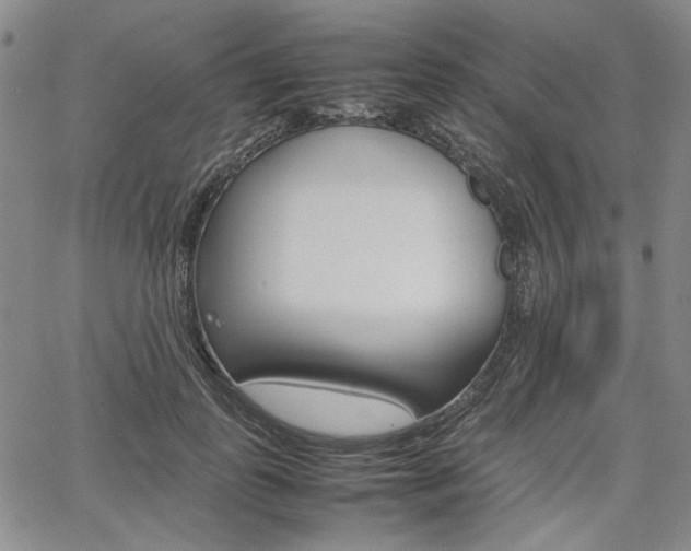 X0000067890747200604131013