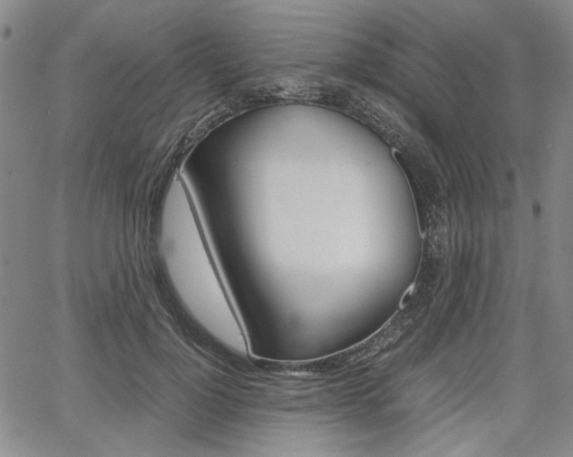 X0000067890748200604131013