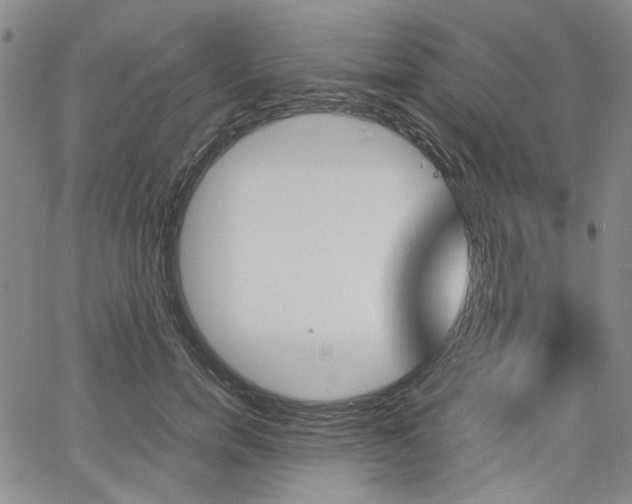 X0000067890750200604131013