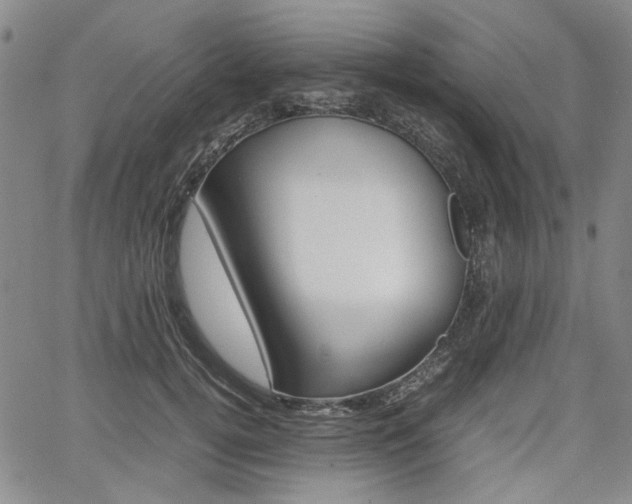 X0000067890752200604131013