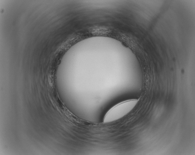 X0000067890755200604131013