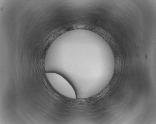 X0000067890761200604131013
