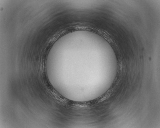 X0000067890763200604131013