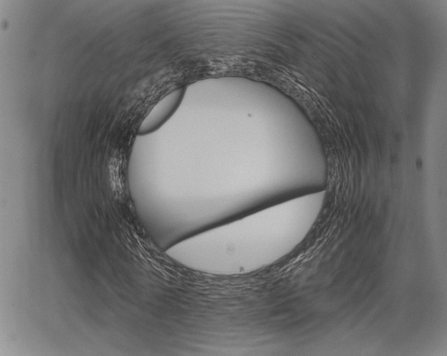 X0000067890770200604131013