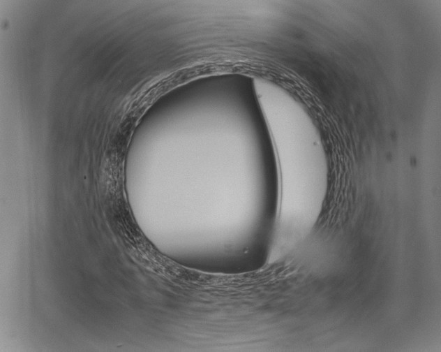 X0000067890773200604131012