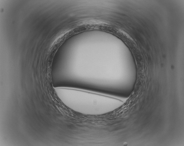 X0000067890775200604131012