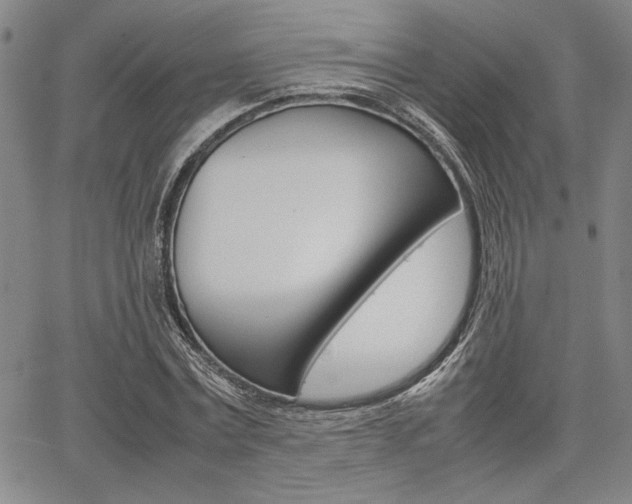 X0000067890779200604131012