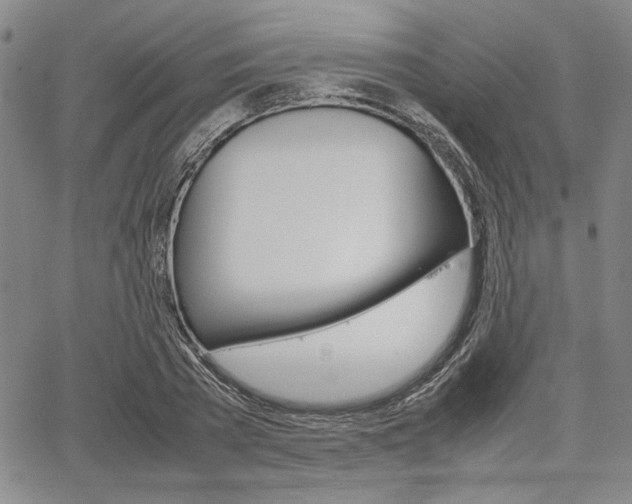 X0000067890785200604131012