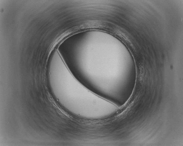X0000067890786200604131012