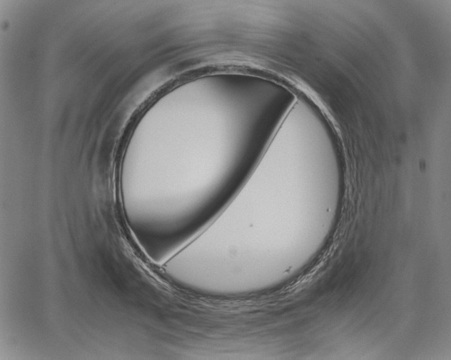 X0000067890791200604131012