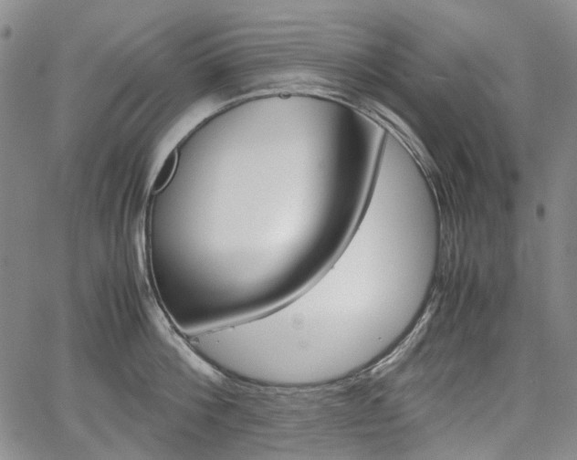 X0000067890812200604131012