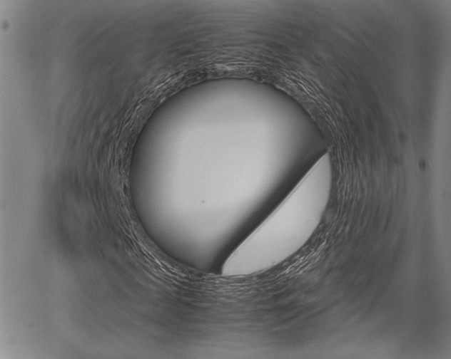 X0000067890817200604131011
