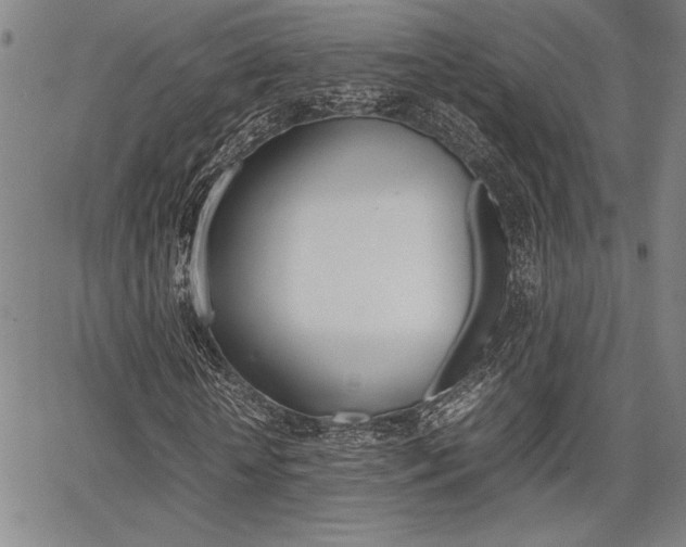 X0000067890818200604131011