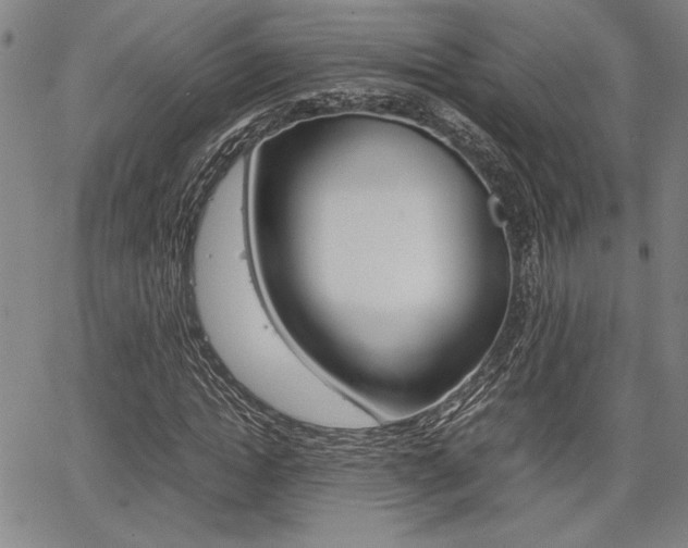 X0000067890822200604131011