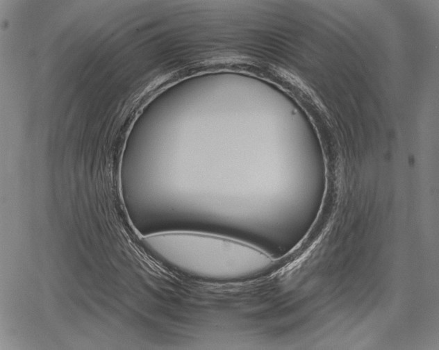X0000067890825200604131011