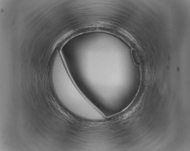 X0000067890826200604131011