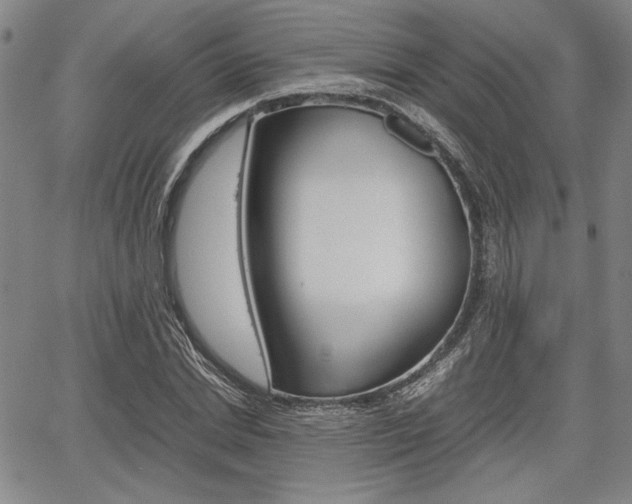 X0000067890830200604131011