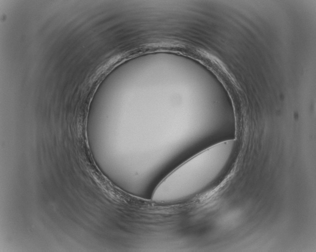X0000067890833200604131011