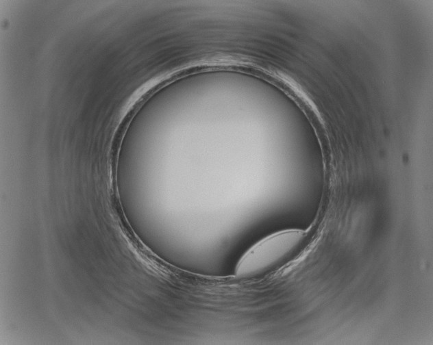 X0000067890837200604131011