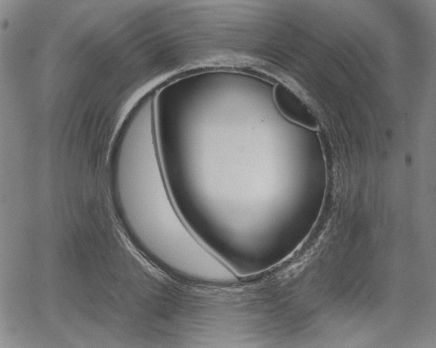X0000067890838200604131011