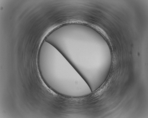 X0000067890847200604131011
